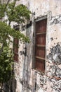 Tree, windows and wall Cartagena, Colombia